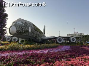[P31] Miracle Garden Dubai » foto by AZE
 - 
<span class="allrVoted glyphicon glyphicon-heart hidden" id="av1484546"></span>
<a class="m-l-10 hidden" id="sv1484546" onclick="voting_Foto_DelVot(,1484546,28974)" role="button">șterge vot <span class="glyphicon glyphicon-remove"></span></a>
<a id="v91484546" class=" c-red"  onclick="voting_Foto_SetVot(1484546)" role="button"><span class="glyphicon glyphicon-heart-empty"></span> <b>LIKE</b> = Votează poza</a> <img class="hidden"  id="f1484546W9" src="/imagini/loader.gif" border="0" /><span class="AjErrMes hidden" id="e1484546ErM"></span>