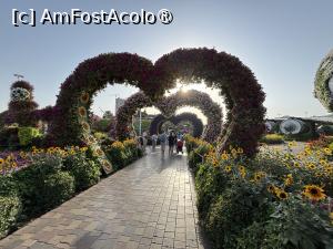 [P33] Miracle Garden Dubai » foto by AZE
 - 
<span class="allrVoted glyphicon glyphicon-heart hidden" id="av1484548"></span>
<a class="m-l-10 hidden" id="sv1484548" onclick="voting_Foto_DelVot(,1484548,28974)" role="button">șterge vot <span class="glyphicon glyphicon-remove"></span></a>
<a id="v91484548" class=" c-red"  onclick="voting_Foto_SetVot(1484548)" role="button"><span class="glyphicon glyphicon-heart-empty"></span> <b>LIKE</b> = Votează poza</a> <img class="hidden"  id="f1484548W9" src="/imagini/loader.gif" border="0" /><span class="AjErrMes hidden" id="e1484548ErM"></span>