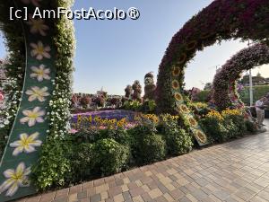 [P34] Miracle Garden Dubai » foto by AZE
 - 
<span class="allrVoted glyphicon glyphicon-heart hidden" id="av1484549"></span>
<a class="m-l-10 hidden" id="sv1484549" onclick="voting_Foto_DelVot(,1484549,28974)" role="button">șterge vot <span class="glyphicon glyphicon-remove"></span></a>
<a id="v91484549" class=" c-red"  onclick="voting_Foto_SetVot(1484549)" role="button"><span class="glyphicon glyphicon-heart-empty"></span> <b>LIKE</b> = Votează poza</a> <img class="hidden"  id="f1484549W9" src="/imagini/loader.gif" border="0" /><span class="AjErrMes hidden" id="e1484549ErM"></span>