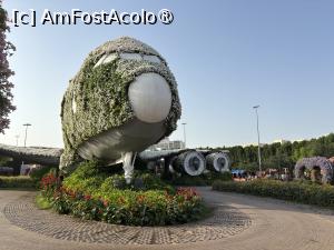 [P36] Miracle Garden Dubai,m-am tot uitat la acest avion și nu este un A380 » foto by AZE
 - 
<span class="allrVoted glyphicon glyphicon-heart hidden" id="av1484551"></span>
<a class="m-l-10 hidden" id="sv1484551" onclick="voting_Foto_DelVot(,1484551,28974)" role="button">șterge vot <span class="glyphicon glyphicon-remove"></span></a>
<a id="v91484551" class=" c-red"  onclick="voting_Foto_SetVot(1484551)" role="button"><span class="glyphicon glyphicon-heart-empty"></span> <b>LIKE</b> = Votează poza</a> <img class="hidden"  id="f1484551W9" src="/imagini/loader.gif" border="0" /><span class="AjErrMes hidden" id="e1484551ErM"></span>