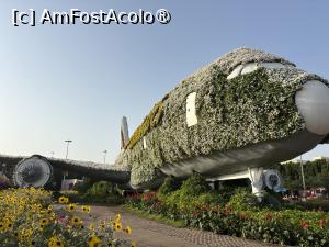 [P37] Miracle Garden Dubai » foto by AZE
 - 
<span class="allrVoted glyphicon glyphicon-heart hidden" id="av1484552"></span>
<a class="m-l-10 hidden" id="sv1484552" onclick="voting_Foto_DelVot(,1484552,28974)" role="button">șterge vot <span class="glyphicon glyphicon-remove"></span></a>
<a id="v91484552" class=" c-red"  onclick="voting_Foto_SetVot(1484552)" role="button"><span class="glyphicon glyphicon-heart-empty"></span> <b>LIKE</b> = Votează poza</a> <img class="hidden"  id="f1484552W9" src="/imagini/loader.gif" border="0" /><span class="AjErrMes hidden" id="e1484552ErM"></span>