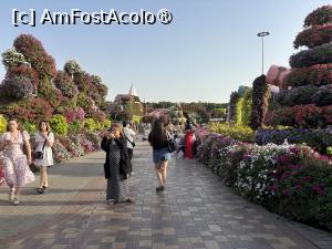 [P38] Miracle Garden Dubai » foto by AZE
 - 
<span class="allrVoted glyphicon glyphicon-heart hidden" id="av1484553"></span>
<a class="m-l-10 hidden" id="sv1484553" onclick="voting_Foto_DelVot(,1484553,28974)" role="button">șterge vot <span class="glyphicon glyphicon-remove"></span></a>
<a id="v91484553" class=" c-red"  onclick="voting_Foto_SetVot(1484553)" role="button"><span class="glyphicon glyphicon-heart-empty"></span> <b>LIKE</b> = Votează poza</a> <img class="hidden"  id="f1484553W9" src="/imagini/loader.gif" border="0" /><span class="AjErrMes hidden" id="e1484553ErM"></span>