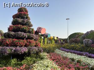[P39] Miracle Garden Dubai » foto by AZE
 - 
<span class="allrVoted glyphicon glyphicon-heart hidden" id="av1484554"></span>
<a class="m-l-10 hidden" id="sv1484554" onclick="voting_Foto_DelVot(,1484554,28974)" role="button">șterge vot <span class="glyphicon glyphicon-remove"></span></a>
<a id="v91484554" class=" c-red"  onclick="voting_Foto_SetVot(1484554)" role="button"><span class="glyphicon glyphicon-heart-empty"></span> <b>LIKE</b> = Votează poza</a> <img class="hidden"  id="f1484554W9" src="/imagini/loader.gif" border="0" /><span class="AjErrMes hidden" id="e1484554ErM"></span>