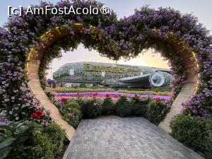 [P04] Miracle Garden Dubai,avionul Emirates din flori » foto by AZE
 - 
<span class="allrVoted glyphicon glyphicon-heart hidden" id="av1484519"></span>
<a class="m-l-10 hidden" id="sv1484519" onclick="voting_Foto_DelVot(,1484519,28974)" role="button">șterge vot <span class="glyphicon glyphicon-remove"></span></a>
<a id="v91484519" class=" c-red"  onclick="voting_Foto_SetVot(1484519)" role="button"><span class="glyphicon glyphicon-heart-empty"></span> <b>LIKE</b> = Votează poza</a> <img class="hidden"  id="f1484519W9" src="/imagini/loader.gif" border="0" /><span class="AjErrMes hidden" id="e1484519ErM"></span>