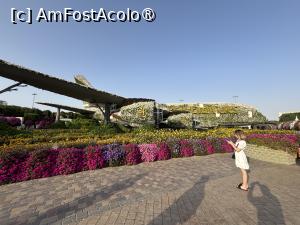 [P40] Miracle Garden Dubai » foto by AZE
 - 
<span class="allrVoted glyphicon glyphicon-heart hidden" id="av1484555"></span>
<a class="m-l-10 hidden" id="sv1484555" onclick="voting_Foto_DelVot(,1484555,28974)" role="button">șterge vot <span class="glyphicon glyphicon-remove"></span></a>
<a id="v91484555" class=" c-red"  onclick="voting_Foto_SetVot(1484555)" role="button"><span class="glyphicon glyphicon-heart-empty"></span> <b>LIKE</b> = Votează poza</a> <img class="hidden"  id="f1484555W9" src="/imagini/loader.gif" border="0" /><span class="AjErrMes hidden" id="e1484555ErM"></span>