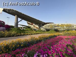 [P41] Miracle Garden Dubai » foto by AZE
 - 
<span class="allrVoted glyphicon glyphicon-heart hidden" id="av1484556"></span>
<a class="m-l-10 hidden" id="sv1484556" onclick="voting_Foto_DelVot(,1484556,28974)" role="button">șterge vot <span class="glyphicon glyphicon-remove"></span></a>
<a id="v91484556" class=" c-red"  onclick="voting_Foto_SetVot(1484556)" role="button"><span class="glyphicon glyphicon-heart-empty"></span> <b>LIKE</b> = Votează poza</a> <img class="hidden"  id="f1484556W9" src="/imagini/loader.gif" border="0" /><span class="AjErrMes hidden" id="e1484556ErM"></span>