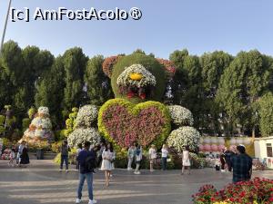 [P44] Miracle Garden Dubai » foto by AZE
 - 
<span class="allrVoted glyphicon glyphicon-heart hidden" id="av1484559"></span>
<a class="m-l-10 hidden" id="sv1484559" onclick="voting_Foto_DelVot(,1484559,28974)" role="button">șterge vot <span class="glyphicon glyphicon-remove"></span></a>
<a id="v91484559" class=" c-red"  onclick="voting_Foto_SetVot(1484559)" role="button"><span class="glyphicon glyphicon-heart-empty"></span> <b>LIKE</b> = Votează poza</a> <img class="hidden"  id="f1484559W9" src="/imagini/loader.gif" border="0" /><span class="AjErrMes hidden" id="e1484559ErM"></span>