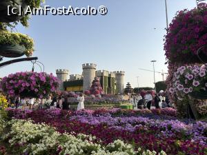 [P51] Miracle Garden Dubai » foto by AZE
 - 
<span class="allrVoted glyphicon glyphicon-heart hidden" id="av1484566"></span>
<a class="m-l-10 hidden" id="sv1484566" onclick="voting_Foto_DelVot(,1484566,28974)" role="button">șterge vot <span class="glyphicon glyphicon-remove"></span></a>
<a id="v91484566" class=" c-red"  onclick="voting_Foto_SetVot(1484566)" role="button"><span class="glyphicon glyphicon-heart-empty"></span> <b>LIKE</b> = Votează poza</a> <img class="hidden"  id="f1484566W9" src="/imagini/loader.gif" border="0" /><span class="AjErrMes hidden" id="e1484566ErM"></span>