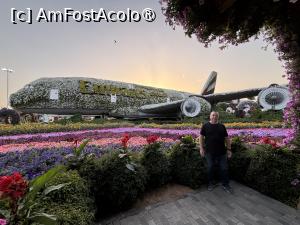 [P06] Miracle Garden Dubai, avionul Emirates din flori, cu mine în peisaj » foto by AZE
 - 
<span class="allrVoted glyphicon glyphicon-heart hidden" id="av1484521"></span>
<a class="m-l-10 hidden" id="sv1484521" onclick="voting_Foto_DelVot(,1484521,28974)" role="button">șterge vot <span class="glyphicon glyphicon-remove"></span></a>
<a id="v91484521" class=" c-red"  onclick="voting_Foto_SetVot(1484521)" role="button"><span class="glyphicon glyphicon-heart-empty"></span> <b>LIKE</b> = Votează poza</a> <img class="hidden"  id="f1484521W9" src="/imagini/loader.gif" border="0" /><span class="AjErrMes hidden" id="e1484521ErM"></span>