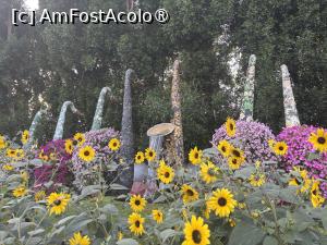 [P60] Miracle Garden Dubai » foto by AZE
 - 
<span class="allrVoted glyphicon glyphicon-heart hidden" id="av1484575"></span>
<a class="m-l-10 hidden" id="sv1484575" onclick="voting_Foto_DelVot(,1484575,28974)" role="button">șterge vot <span class="glyphicon glyphicon-remove"></span></a>
<a id="v91484575" class=" c-red"  onclick="voting_Foto_SetVot(1484575)" role="button"><span class="glyphicon glyphicon-heart-empty"></span> <b>LIKE</b> = Votează poza</a> <img class="hidden"  id="f1484575W9" src="/imagini/loader.gif" border="0" /><span class="AjErrMes hidden" id="e1484575ErM"></span>
