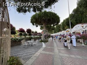 [P61] Miracle Garden Dubai » foto by AZE
 - 
<span class="allrVoted glyphicon glyphicon-heart hidden" id="av1484576"></span>
<a class="m-l-10 hidden" id="sv1484576" onclick="voting_Foto_DelVot(,1484576,28974)" role="button">șterge vot <span class="glyphicon glyphicon-remove"></span></a>
<a id="v91484576" class=" c-red"  onclick="voting_Foto_SetVot(1484576)" role="button"><span class="glyphicon glyphicon-heart-empty"></span> <b>LIKE</b> = Votează poza</a> <img class="hidden"  id="f1484576W9" src="/imagini/loader.gif" border="0" /><span class="AjErrMes hidden" id="e1484576ErM"></span>