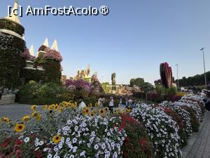 [P69] Miracle Garden Dubai » foto by AZE
 - 
<span class="allrVoted glyphicon glyphicon-heart hidden" id="av1484584"></span>
<a class="m-l-10 hidden" id="sv1484584" onclick="voting_Foto_DelVot(,1484584,28974)" role="button">șterge vot <span class="glyphicon glyphicon-remove"></span></a>
<a id="v91484584" class=" c-red"  onclick="voting_Foto_SetVot(1484584)" role="button"><span class="glyphicon glyphicon-heart-empty"></span> <b>LIKE</b> = Votează poza</a> <img class="hidden"  id="f1484584W9" src="/imagini/loader.gif" border="0" /><span class="AjErrMes hidden" id="e1484584ErM"></span>
