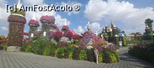 [P73] MIRACLE GARDEN - o grădină ruptă din Rai! » foto by elenaadina
 - 
<span class="allrVoted glyphicon glyphicon-heart hidden" id="av1415140"></span>
<a class="m-l-10 hidden" id="sv1415140" onclick="voting_Foto_DelVot(,1415140,28974)" role="button">șterge vot <span class="glyphicon glyphicon-remove"></span></a>
<a id="v91415140" class=" c-red"  onclick="voting_Foto_SetVot(1415140)" role="button"><span class="glyphicon glyphicon-heart-empty"></span> <b>LIKE</b> = Votează poza</a> <img class="hidden"  id="f1415140W9" src="/imagini/loader.gif" border="0" /><span class="AjErrMes hidden" id="e1415140ErM"></span>