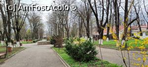 [P21] Parcul Central - Adjud. » foto by tata123 🔱
 - 
<span class="allrVoted glyphicon glyphicon-heart hidden" id="av1483959"></span>
<a class="m-l-10 hidden" id="sv1483959" onclick="voting_Foto_DelVot(,1483959,28997)" role="button">șterge vot <span class="glyphicon glyphicon-remove"></span></a>
<a id="v91483959" class=" c-red"  onclick="voting_Foto_SetVot(1483959)" role="button"><span class="glyphicon glyphicon-heart-empty"></span> <b>LIKE</b> = Votează poza</a> <img class="hidden"  id="f1483959W9" src="/imagini/loader.gif" border="0" /><span class="AjErrMes hidden" id="e1483959ErM"></span>