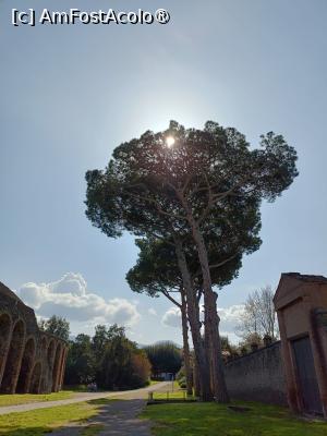 [P07] Pompei de 8 martie » foto by adighh
 - 
<span class="allrVoted glyphicon glyphicon-heart hidden" id="av1520820"></span>
<a class="m-l-10 hidden" id="sv1520820" onclick="voting_Foto_DelVot(,1520820,29041)" role="button">șterge vot <span class="glyphicon glyphicon-remove"></span></a>
<a id="v91520820" class=" c-red"  onclick="voting_Foto_SetVot(1520820)" role="button"><span class="glyphicon glyphicon-heart-empty"></span> <b>LIKE</b> = Votează poza</a> <img class="hidden"  id="f1520820W9" src="/imagini/loader.gif" border="0" /><span class="AjErrMes hidden" id="e1520820ErM"></span>