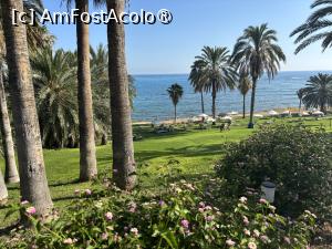 [P35] Ascos Coral Beach Hotel,plaja » foto by AZE
 - 
<span class="allrVoted glyphicon glyphicon-heart hidden" id="av1489160"></span>
<a class="m-l-10 hidden" id="sv1489160" onclick="voting_Foto_DelVot(,1489160,29044)" role="button">șterge vot <span class="glyphicon glyphicon-remove"></span></a>
<a id="v91489160" class=" c-red"  onclick="voting_Foto_SetVot(1489160)" role="button"><span class="glyphicon glyphicon-heart-empty"></span> <b>LIKE</b> = Votează poza</a> <img class="hidden"  id="f1489160W9" src="/imagini/loader.gif" border="0" /><span class="AjErrMes hidden" id="e1489160ErM"></span>