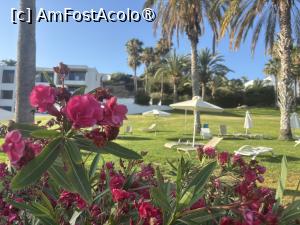 [P08] Ascos Coral Beach Hotel,plaja » foto by AZE
 - 
<span class="allrVoted glyphicon glyphicon-heart hidden" id="av1489133"></span>
<a class="m-l-10 hidden" id="sv1489133" onclick="voting_Foto_DelVot(,1489133,29044)" role="button">șterge vot <span class="glyphicon glyphicon-remove"></span></a>
<a id="v91489133" class=" c-red"  onclick="voting_Foto_SetVot(1489133)" role="button"><span class="glyphicon glyphicon-heart-empty"></span> <b>LIKE</b> = Votează poza</a> <img class="hidden"  id="f1489133W9" src="/imagini/loader.gif" border="0" /><span class="AjErrMes hidden" id="e1489133ErM"></span>