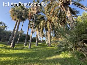 [P09] Ascos Coral Beach Hotel,grădina » foto by AZE
 - 
<span class="allrVoted glyphicon glyphicon-heart hidden" id="av1489134"></span>
<a class="m-l-10 hidden" id="sv1489134" onclick="voting_Foto_DelVot(,1489134,29044)" role="button">șterge vot <span class="glyphicon glyphicon-remove"></span></a>
<a id="v91489134" class=" c-red"  onclick="voting_Foto_SetVot(1489134)" role="button"><span class="glyphicon glyphicon-heart-empty"></span> <b>LIKE</b> = Votează poza</a> <img class="hidden"  id="f1489134W9" src="/imagini/loader.gif" border="0" /><span class="AjErrMes hidden" id="e1489134ErM"></span>