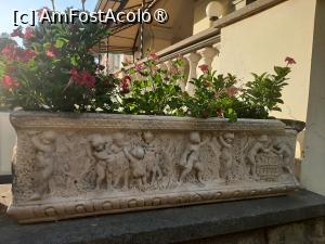 [P17] Hotel Castel Vecchio » foto by adso
 - 
<span class="allrVoted glyphicon glyphicon-heart hidden" id="av1491239"></span>
<a class="m-l-10 hidden" id="sv1491239" onclick="voting_Foto_DelVot(,1491239,29061)" role="button">șterge vot <span class="glyphicon glyphicon-remove"></span></a>
<a id="v91491239" class=" c-red"  onclick="voting_Foto_SetVot(1491239)" role="button"><span class="glyphicon glyphicon-heart-empty"></span> <b>LIKE</b> = Votează poza</a> <img class="hidden"  id="f1491239W9" src="/imagini/loader.gif" border="0" /><span class="AjErrMes hidden" id="e1491239ErM"></span>