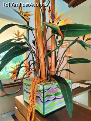 [P02] Decor în recepție » foto by crismis
 - 
<span class="allrVoted glyphicon glyphicon-heart hidden" id="av1499697"></span>
<a class="m-l-10 hidden" id="sv1499697" onclick="voting_Foto_DelVot(,1499697,29133)" role="button">șterge vot <span class="glyphicon glyphicon-remove"></span></a>
<a id="v91499697" class=" c-red"  onclick="voting_Foto_SetVot(1499697)" role="button"><span class="glyphicon glyphicon-heart-empty"></span> <b>LIKE</b> = Votează poza</a> <img class="hidden"  id="f1499697W9" src="/imagini/loader.gif" border="0" /><span class="AjErrMes hidden" id="e1499697ErM"></span>