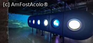 [P56] 56. Prin muzeul imersiv. » foto by doinafil
 - 
<span class="allrVoted glyphicon glyphicon-heart hidden" id="av1524138"></span>
<a class="m-l-10 hidden" id="sv1524138" onclick="voting_Foto_DelVot(,1524138,29149)" role="button">șterge vot <span class="glyphicon glyphicon-remove"></span></a>
<a id="v91524138" class=" c-red"  onclick="voting_Foto_SetVot(1524138)" role="button"><span class="glyphicon glyphicon-heart-empty"></span> <b>LIKE</b> = Votează poza</a> <img class="hidden"  id="f1524138W9" src="/imagini/loader.gif" border="0" /><span class="AjErrMes hidden" id="e1524138ErM"></span>