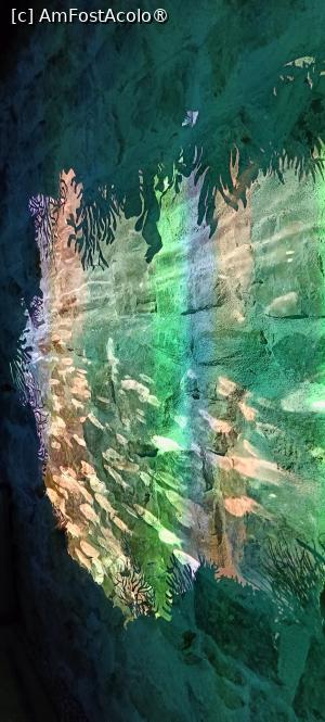 [P21] Muzeul imersiv - proiecții. » foto by tata123 🔱
 - 
<span class="allrVoted glyphicon glyphicon-heart hidden" id="av1516062"></span>
<a class="m-l-10 hidden" id="sv1516062" onclick="voting_Foto_DelVot(,1516062,29149)" role="button">șterge vot <span class="glyphicon glyphicon-remove"></span></a>
<a id="v91516062" class=" c-red"  onclick="voting_Foto_SetVot(1516062)" role="button"><span class="glyphicon glyphicon-heart-empty"></span> <b>LIKE</b> = Votează poza</a> <img class="hidden"  id="f1516062W9" src="/imagini/loader.gif" border="0" /><span class="AjErrMes hidden" id="e1516062ErM"></span>