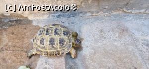 [P15] Khurjin Boutique Hotel » foto by adso
 - 
<span class="allrVoted glyphicon glyphicon-heart hidden" id="av1503624"></span>
<a class="m-l-10 hidden" id="sv1503624" onclick="voting_Foto_DelVot(,1503624,29159)" role="button">șterge vot <span class="glyphicon glyphicon-remove"></span></a>
<a id="v91503624" class=" c-red"  onclick="voting_Foto_SetVot(1503624)" role="button"><span class="glyphicon glyphicon-heart-empty"></span> <b>LIKE</b> = Votează poza</a> <img class="hidden"  id="f1503624W9" src="/imagini/loader.gif" border="0" /><span class="AjErrMes hidden" id="e1503624ErM"></span>