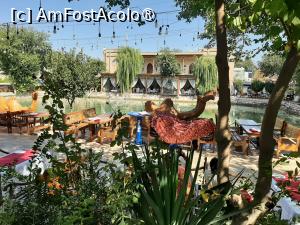 [P34] Labi Hovuz » foto by adso
 - 
<span class="allrVoted glyphicon glyphicon-heart hidden" id="av1503850"></span>
<a class="m-l-10 hidden" id="sv1503850" onclick="voting_Foto_DelVot(,1503850,29161)" role="button">șterge vot <span class="glyphicon glyphicon-remove"></span></a>
<a id="v91503850" class=" c-red"  onclick="voting_Foto_SetVot(1503850)" role="button"><span class="glyphicon glyphicon-heart-empty"></span> <b>LIKE</b> = Votează poza</a> <img class="hidden"  id="f1503850W9" src="/imagini/loader.gif" border="0" /><span class="AjErrMes hidden" id="e1503850ErM"></span>