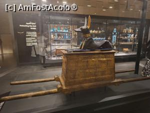 [P26] GEM, Galeriile lui Tutankhamun, Statuia neagră a lui Anubis, zeul cu cap de șacal, protector al mormintelor și ghid al sufletelor » foto by mprofeanu
 - 
<span class="allrVoted glyphicon glyphicon-heart hidden" id="av1526970"></span>
<a class="m-l-10 hidden" id="sv1526970" onclick="voting_Foto_DelVot(,1526970,29165)" role="button">șterge vot <span class="glyphicon glyphicon-remove"></span></a>
<a id="v91526970" class=" c-red"  onclick="voting_Foto_SetVot(1526970)" role="button"><span class="glyphicon glyphicon-heart-empty"></span> <b>LIKE</b> = Votează poza</a> <img class="hidden"  id="f1526970W9" src="/imagini/loader.gif" border="0" /><span class="AjErrMes hidden" id="e1526970ErM"></span>