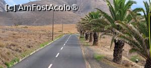 [P29] Șosea prin Porto Santo » foto by irinad
 - 
<span class="allrVoted glyphicon glyphicon-heart hidden" id="av1505305"></span>
<a class="m-l-10 hidden" id="sv1505305" onclick="voting_Foto_DelVot(,1505305,29172)" role="button">șterge vot <span class="glyphicon glyphicon-remove"></span></a>
<a id="v91505305" class=" c-red"  onclick="voting_Foto_SetVot(1505305)" role="button"><span class="glyphicon glyphicon-heart-empty"></span> <b>LIKE</b> = Votează poza</a> <img class="hidden"  id="f1505305W9" src="/imagini/loader.gif" border="0" /><span class="AjErrMes hidden" id="e1505305ErM"></span>