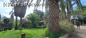 [P82] Quinta das Palmeiras, la pas » foto by irinad
 - 
<span class="allrVoted glyphicon glyphicon-heart hidden" id="av1505358"></span>
<a class="m-l-10 hidden" id="sv1505358" onclick="voting_Foto_DelVot(,1505358,29172)" role="button">șterge vot <span class="glyphicon glyphicon-remove"></span></a>
<a id="v91505358" class=" c-red"  onclick="voting_Foto_SetVot(1505358)" role="button"><span class="glyphicon glyphicon-heart-empty"></span> <b>LIKE</b> = Votează poza</a> <img class="hidden"  id="f1505358W9" src="/imagini/loader.gif" border="0" /><span class="AjErrMes hidden" id="e1505358ErM"></span>