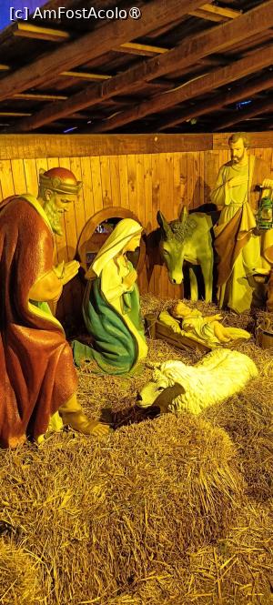 [P43] Târgul „Poveste de Crăciun” » foto by tata123 🔱
 - 
<span class="allrVoted glyphicon glyphicon-heart hidden" id="av1462766"></span>
<a class="m-l-10 hidden" id="sv1462766" onclick="voting_Foto_DelVot(,1462766,29197)" role="button">șterge vot <span class="glyphicon glyphicon-remove"></span></a>
<a id="v91462766" class=" c-red"  onclick="voting_Foto_SetVot(1462766)" role="button"><span class="glyphicon glyphicon-heart-empty"></span> <b>LIKE</b> = Votează poza</a> <img class="hidden"  id="f1462766W9" src="/imagini/loader.gif" border="0" /><span class="AjErrMes hidden" id="e1462766ErM"></span>