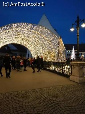 [P10] Podul mincinosilor. » foto by nelu73
 - 
<span class="allrVoted glyphicon glyphicon-heart hidden" id="av1266905"></span>
<a class="m-l-10 hidden" id="sv1266905" onclick="voting_Foto_DelVot(,1266905,29199)" role="button">șterge vot <span class="glyphicon glyphicon-remove"></span></a>
<a id="v91266905" class=" c-red"  onclick="voting_Foto_SetVot(1266905)" role="button"><span class="glyphicon glyphicon-heart-empty"></span> <b>LIKE</b> = Votează poza</a> <img class="hidden"  id="f1266905W9" src="/imagini/loader.gif" border="0" /><span class="AjErrMes hidden" id="e1266905ErM"></span>