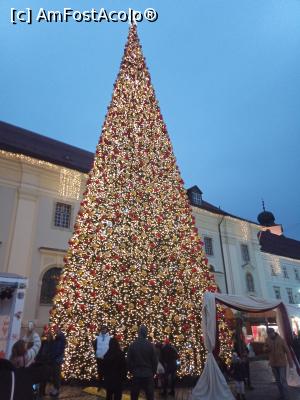 [P14] Bradul din t&acirc;rgul de Crăciun » foto by nelu73
 - 
<span class="allrVoted glyphicon glyphicon-heart hidden" id="av1341245"></span>
<a class="m-l-10 hidden" id="sv1341245" onclick="voting_Foto_DelVot(,1341245,29199)" role="button">șterge vot <span class="glyphicon glyphicon-remove"></span></a>
<a id="v91341245" class=" c-red"  onclick="voting_Foto_SetVot(1341245)" role="button"><span class="glyphicon glyphicon-heart-empty"></span> <b>LIKE</b> = Votează poza</a> <img class="hidden"  id="f1341245W9" src="/imagini/loader.gif" border="0" /><span class="AjErrMes hidden" id="e1341245ErM"></span>