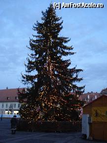 [P23] Sibiu -Piata Mare - Targul de Craciun, bradul din fata Primariei » foto by Diaura*
 - 
<span class="allrVoted glyphicon glyphicon-heart hidden" id="av284253"></span>
<a class="m-l-10 hidden" id="sv284253" onclick="voting_Foto_DelVot(,284253,29199)" role="button">șterge vot <span class="glyphicon glyphicon-remove"></span></a>
<a id="v9284253" class=" c-red"  onclick="voting_Foto_SetVot(284253)" role="button"><span class="glyphicon glyphicon-heart-empty"></span> <b>LIKE</b> = Votează poza</a> <img class="hidden"  id="f284253W9" src="/imagini/loader.gif" border="0" /><span class="AjErrMes hidden" id="e284253ErM"></span>