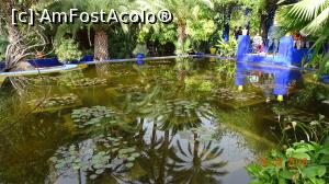 [P04] Bazinul cu nuferi, alta perspectiva, Gradina Majorelle » foto by mecut
 - 
<span class="allrVoted glyphicon glyphicon-heart hidden" id="av1014824"></span>
<a class="m-l-10 hidden" id="sv1014824" onclick="voting_Foto_DelVot(,1014824,29203)" role="button">șterge vot <span class="glyphicon glyphicon-remove"></span></a>
<a id="v91014824" class=" c-red"  onclick="voting_Foto_SetVot(1014824)" role="button"><span class="glyphicon glyphicon-heart-empty"></span> <b>LIKE</b> = Votează poza</a> <img class="hidden"  id="f1014824W9" src="/imagini/loader.gif" border="0" /><span class="AjErrMes hidden" id="e1014824ErM"></span>