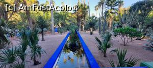 [P16] Marrakech, Grădina Majorelle, Canalul de irigare cu rol și de îmfrumusețare » foto by mprofeanu
 - 
<span class="allrVoted glyphicon glyphicon-heart hidden" id="av1483263"></span>
<a class="m-l-10 hidden" id="sv1483263" onclick="voting_Foto_DelVot(,1483263,29203)" role="button">șterge vot <span class="glyphicon glyphicon-remove"></span></a>
<a id="v91483263" class=" c-red"  onclick="voting_Foto_SetVot(1483263)" role="button"><span class="glyphicon glyphicon-heart-empty"></span> <b>LIKE</b> = Votează poza</a> <img class="hidden"  id="f1483263W9" src="/imagini/loader.gif" border="0" /><span class="AjErrMes hidden" id="e1483263ErM"></span>