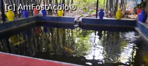 [P21] Marrakech, Grădina Majorelle, Lacul Albastru cu crapi koi » foto by mprofeanu
 - 
<span class="allrVoted glyphicon glyphicon-heart hidden" id="av1483268"></span>
<a class="m-l-10 hidden" id="sv1483268" onclick="voting_Foto_DelVot(,1483268,29203)" role="button">șterge vot <span class="glyphicon glyphicon-remove"></span></a>
<a id="v91483268" class=" c-red"  onclick="voting_Foto_SetVot(1483268)" role="button"><span class="glyphicon glyphicon-heart-empty"></span> <b>LIKE</b> = Votează poza</a> <img class="hidden"  id="f1483268W9" src="/imagini/loader.gif" border="0" /><span class="AjErrMes hidden" id="e1483268ErM"></span>