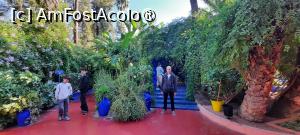 [P25] Marrakech, Grădina Majorelle, Pergola » foto by mprofeanu
 - 
<span class="allrVoted glyphicon glyphicon-heart hidden" id="av1483272"></span>
<a class="m-l-10 hidden" id="sv1483272" onclick="voting_Foto_DelVot(,1483272,29203)" role="button">șterge vot <span class="glyphicon glyphicon-remove"></span></a>
<a id="v91483272" class=" c-red"  onclick="voting_Foto_SetVot(1483272)" role="button"><span class="glyphicon glyphicon-heart-empty"></span> <b>LIKE</b> = Votează poza</a> <img class="hidden"  id="f1483272W9" src="/imagini/loader.gif" border="0" /><span class="AjErrMes hidden" id="e1483272ErM"></span>