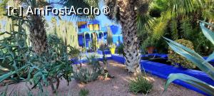 [P33] Marrakech, Grădina Majorelle, Muzeul de Artă Berberă Pierre Bergé pozat din alt unghi » foto by mprofeanu
 - 
<span class="allrVoted glyphicon glyphicon-heart hidden" id="av1483280"></span>
<a class="m-l-10 hidden" id="sv1483280" onclick="voting_Foto_DelVot(,1483280,29203)" role="button">șterge vot <span class="glyphicon glyphicon-remove"></span></a>
<a id="v91483280" class=" c-red"  onclick="voting_Foto_SetVot(1483280)" role="button"><span class="glyphicon glyphicon-heart-empty"></span> <b>LIKE</b> = Votează poza</a> <img class="hidden"  id="f1483280W9" src="/imagini/loader.gif" border="0" /><span class="AjErrMes hidden" id="e1483280ErM"></span>