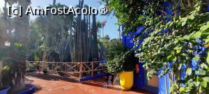 [P50] Marrakech, Grădina Majorelle, Colecția de Cactuși » foto by mprofeanu
 - 
<span class="allrVoted glyphicon glyphicon-heart hidden" id="av1483297"></span>
<a class="m-l-10 hidden" id="sv1483297" onclick="voting_Foto_DelVot(,1483297,29203)" role="button">șterge vot <span class="glyphicon glyphicon-remove"></span></a>
<a id="v91483297" class=" c-red"  onclick="voting_Foto_SetVot(1483297)" role="button"><span class="glyphicon glyphicon-heart-empty"></span> <b>LIKE</b> = Votează poza</a> <img class="hidden"  id="f1483297W9" src="/imagini/loader.gif" border="0" /><span class="AjErrMes hidden" id="e1483297ErM"></span>