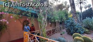 [P59] Marrakech, Grădina Majorelle, Colecția de Cactuși și Pergola » foto by mprofeanu
 - 
<span class="allrVoted glyphicon glyphicon-heart hidden" id="av1483306"></span>
<a class="m-l-10 hidden" id="sv1483306" onclick="voting_Foto_DelVot(,1483306,29203)" role="button">șterge vot <span class="glyphicon glyphicon-remove"></span></a>
<a id="v91483306" class=" c-red"  onclick="voting_Foto_SetVot(1483306)" role="button"><span class="glyphicon glyphicon-heart-empty"></span> <b>LIKE</b> = Votează poza</a> <img class="hidden"  id="f1483306W9" src="/imagini/loader.gif" border="0" /><span class="AjErrMes hidden" id="e1483306ErM"></span>