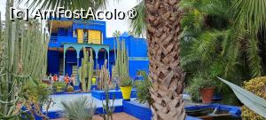 [P01] Clădirea Muzeului Artelor Berbere „Pierre Bergé”, văzută dinspre fântână și canalul de irigație » foto by irinad
 - 
<span class="allrVoted glyphicon glyphicon-heart hidden" id="av1510605"></span>
<a class="m-l-10 hidden" id="sv1510605" onclick="voting_Foto_DelVot(,1510605,29203)" role="button">șterge vot <span class="glyphicon glyphicon-remove"></span></a>
<a id="v91510605" class=" c-red"  onclick="voting_Foto_SetVot(1510605)" role="button"><span class="glyphicon glyphicon-heart-empty"></span> <b>LIKE</b> = Votează poza</a> <img class="hidden"  id="f1510605W9" src="/imagini/loader.gif" border="0" /><span class="AjErrMes hidden" id="e1510605ErM"></span>