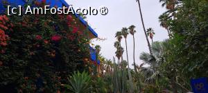 [P25] Flori multicolore » foto by irinad
 - 
<span class="allrVoted glyphicon glyphicon-heart hidden" id="av1510629"></span>
<a class="m-l-10 hidden" id="sv1510629" onclick="voting_Foto_DelVot(,1510629,29203)" role="button">șterge vot <span class="glyphicon glyphicon-remove"></span></a>
<a id="v91510629" class=" c-red"  onclick="voting_Foto_SetVot(1510629)" role="button"><span class="glyphicon glyphicon-heart-empty"></span> <b>LIKE</b> = Votează poza</a> <img class="hidden"  id="f1510629W9" src="/imagini/loader.gif" border="0" /><span class="AjErrMes hidden" id="e1510629ErM"></span>