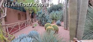 [P33] Marea de cactuși » foto by irinad
 - 
<span class="allrVoted glyphicon glyphicon-heart hidden" id="av1510637"></span>
<a class="m-l-10 hidden" id="sv1510637" onclick="voting_Foto_DelVot(,1510637,29203)" role="button">șterge vot <span class="glyphicon glyphicon-remove"></span></a>
<a id="v91510637" class=" c-red"  onclick="voting_Foto_SetVot(1510637)" role="button"><span class="glyphicon glyphicon-heart-empty"></span> <b>LIKE</b> = Votează poza</a> <img class="hidden"  id="f1510637W9" src="/imagini/loader.gif" border="0" /><span class="AjErrMes hidden" id="e1510637ErM"></span>