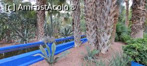 [P48] Canalul de Irigație » foto by irinad
 - 
<span class="allrVoted glyphicon glyphicon-heart hidden" id="av1510652"></span>
<a class="m-l-10 hidden" id="sv1510652" onclick="voting_Foto_DelVot(,1510652,29203)" role="button">șterge vot <span class="glyphicon glyphicon-remove"></span></a>
<a id="v91510652" class=" c-red"  onclick="voting_Foto_SetVot(1510652)" role="button"><span class="glyphicon glyphicon-heart-empty"></span> <b>LIKE</b> = Votează poza</a> <img class="hidden"  id="f1510652W9" src="/imagini/loader.gif" border="0" /><span class="AjErrMes hidden" id="e1510652ErM"></span>