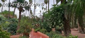 [P55] Pe alei, la pas prin Grădina Majorelle » foto by irinad
 - 
<span class="allrVoted glyphicon glyphicon-heart hidden" id="av1510659"></span>
<a class="m-l-10 hidden" id="sv1510659" onclick="voting_Foto_DelVot(,1510659,29203)" role="button">șterge vot <span class="glyphicon glyphicon-remove"></span></a>
<a id="v91510659" class=" c-red"  onclick="voting_Foto_SetVot(1510659)" role="button"><span class="glyphicon glyphicon-heart-empty"></span> <b>LIKE</b> = Votează poza</a> <img class="hidden"  id="f1510659W9" src="/imagini/loader.gif" border="0" /><span class="AjErrMes hidden" id="e1510659ErM"></span>