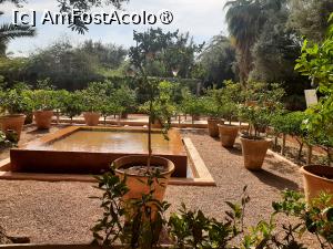 [P13] Grădina privată a Vilei Oasis » foto by adso
 - 
<span class="allrVoted glyphicon glyphicon-heart hidden" id="av1524795"></span>
<a class="m-l-10 hidden" id="sv1524795" onclick="voting_Foto_DelVot(,1524795,29203)" role="button">șterge vot <span class="glyphicon glyphicon-remove"></span></a>
<a id="v91524795" class=" c-red"  onclick="voting_Foto_SetVot(1524795)" role="button"><span class="glyphicon glyphicon-heart-empty"></span> <b>LIKE</b> = Votează poza</a> <img class="hidden"  id="f1524795W9" src="/imagini/loader.gif" border="0" /><span class="AjErrMes hidden" id="e1524795ErM"></span>