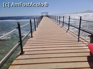 [P51] Rixos Radamis Tirana - unul din pontoane » foto by nicole33
 - 
<span class="allrVoted glyphicon glyphicon-heart hidden" id="av1510911"></span>
<a class="m-l-10 hidden" id="sv1510911" onclick="voting_Foto_DelVot(,1510911,29204)" role="button">șterge vot <span class="glyphicon glyphicon-remove"></span></a>
<a id="v91510911" class=" c-red"  onclick="voting_Foto_SetVot(1510911)" role="button"><span class="glyphicon glyphicon-heart-empty"></span> <b>LIKE</b> = Votează poza</a> <img class="hidden"  id="f1510911W9" src="/imagini/loader.gif" border="0" /><span class="AjErrMes hidden" id="e1510911ErM"></span>