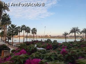 [P66] Baloanele deasupra Nilului privite de pe terasa Steigenberger Resort Achti » foto by adso
 - 
<span class="allrVoted glyphicon glyphicon-heart hidden" id="av1511247"></span>
<a class="m-l-10 hidden" id="sv1511247" onclick="voting_Foto_DelVot(,1511247,29205)" role="button">șterge vot <span class="glyphicon glyphicon-remove"></span></a>
<a id="v91511247" class=" c-red"  onclick="voting_Foto_SetVot(1511247)" role="button"><span class="glyphicon glyphicon-heart-empty"></span> <b>LIKE</b> = Votează poza</a> <img class="hidden"  id="f1511247W9" src="/imagini/loader.gif" border="0" /><span class="AjErrMes hidden" id="e1511247ErM"></span>